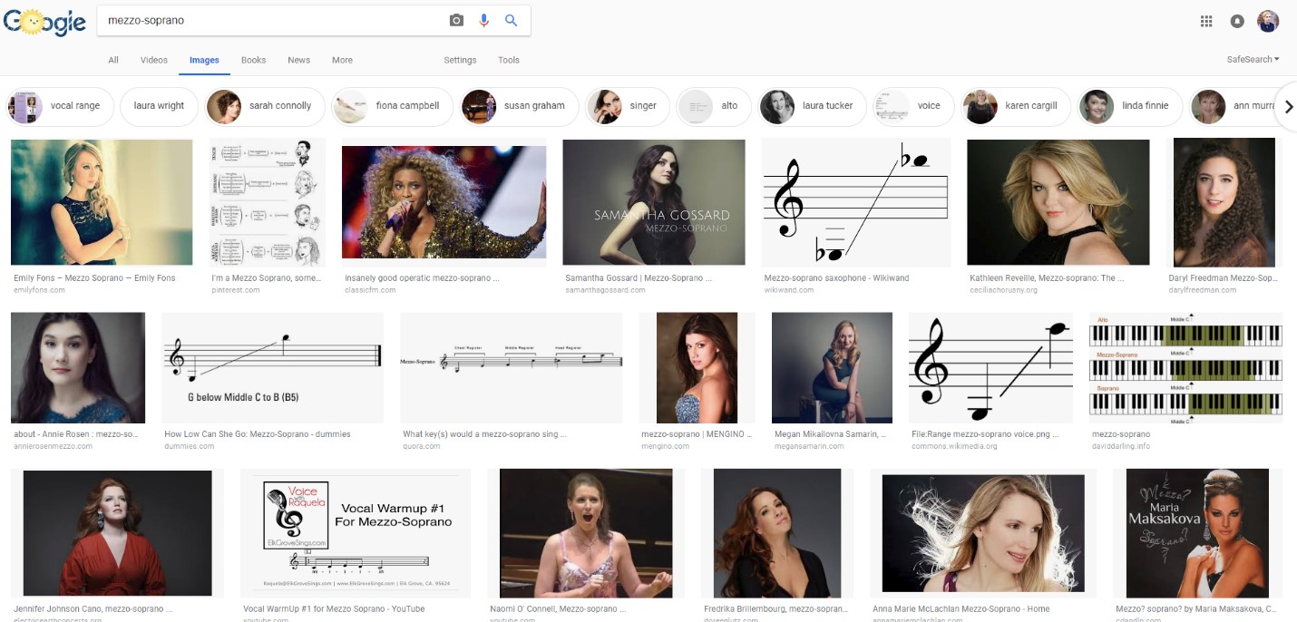 A screenshot of a Google Image search on 