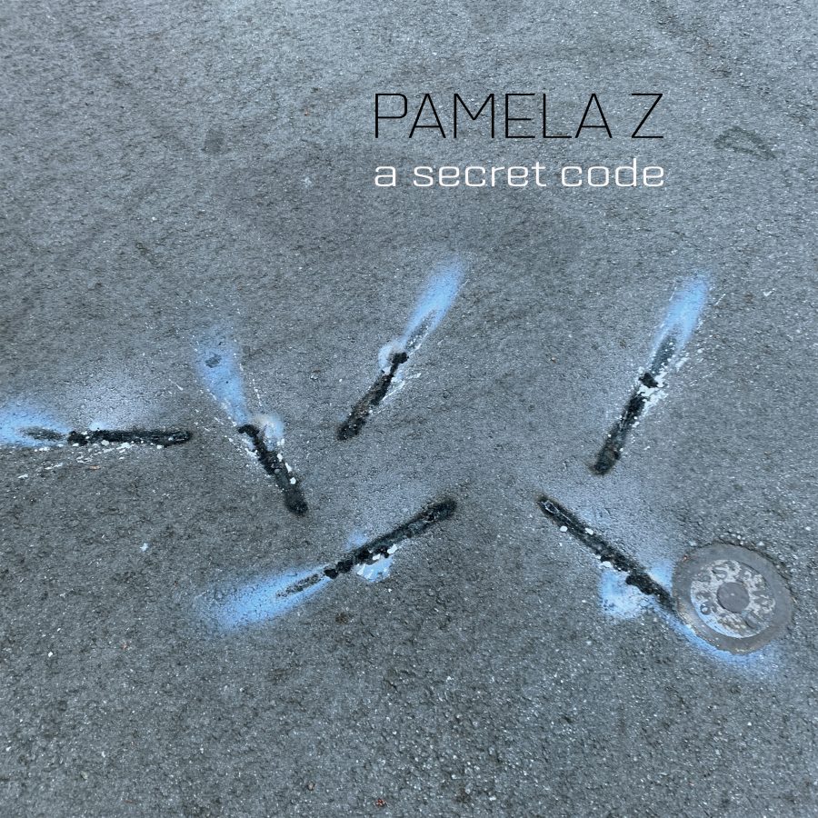The cover for Pamela Z's upcoming CD A Secret Code which features various unidentifiable objects that looks like they are glowing.